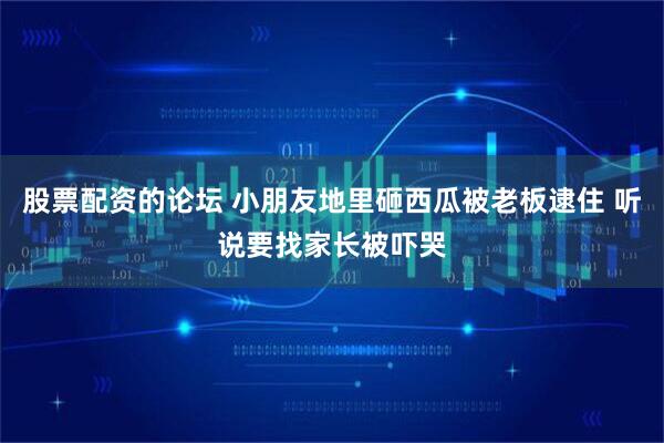 股票配资的论坛 小朋友地里砸西瓜被老板逮住 听说要找家长被吓哭