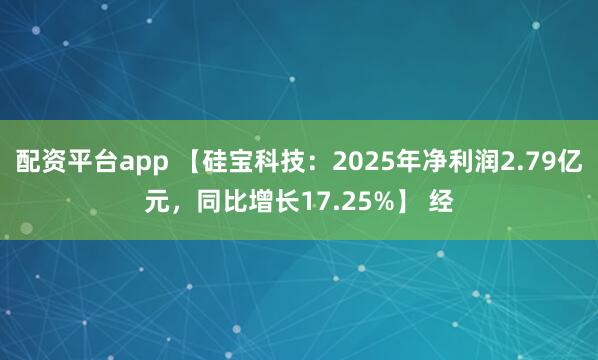 配资平台app 【硅宝科技：2025年净利润2.79亿元，同比增长17.25%】 经