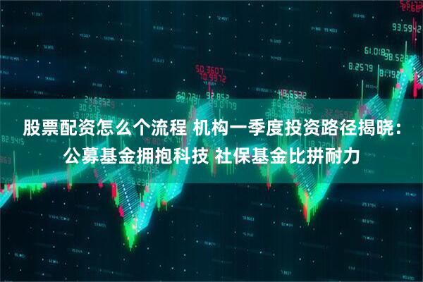 股票配资怎么个流程 机构一季度投资路径揭晓：公募基金拥抱科技 社保基金比拼耐力